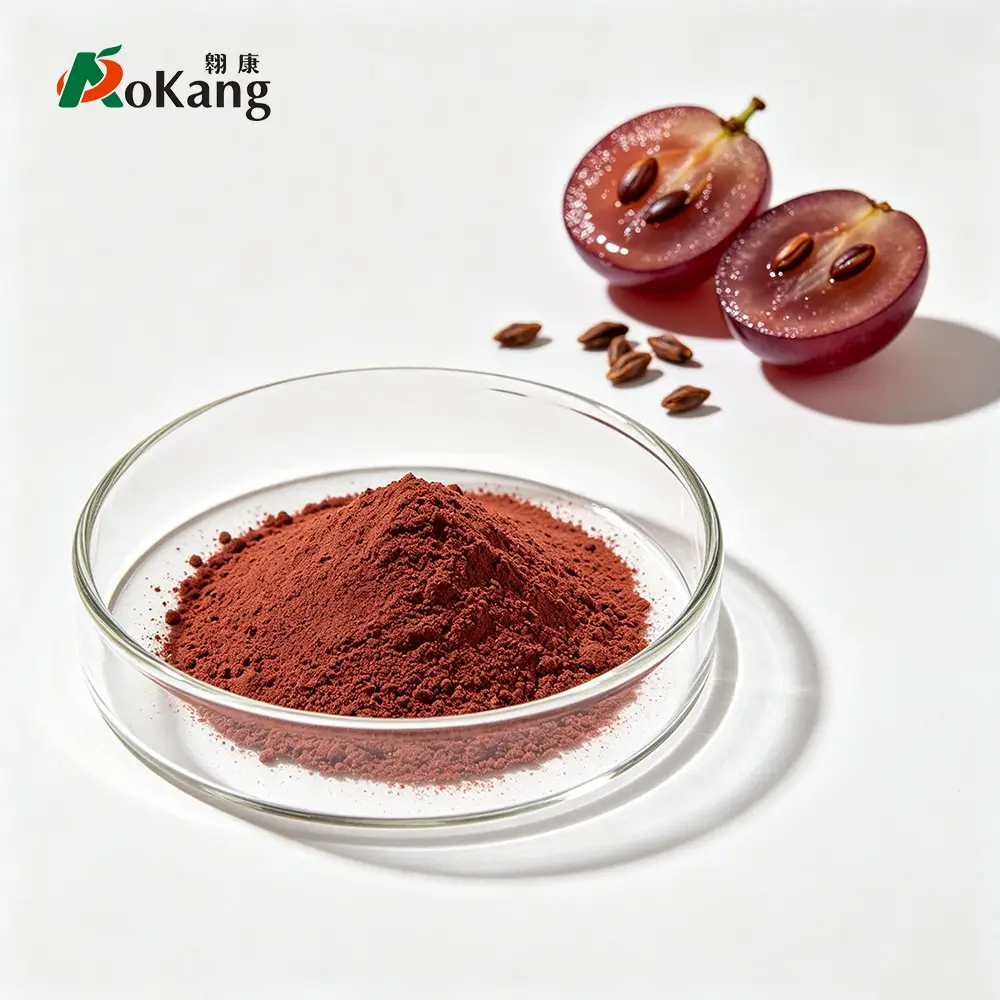 Pure Grape Seed Extract Powder